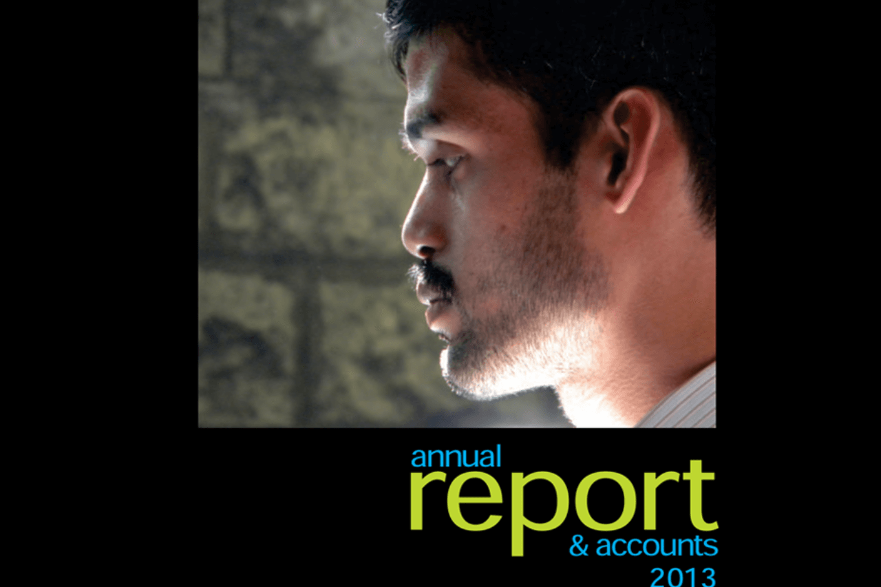 Annual Report of 2013