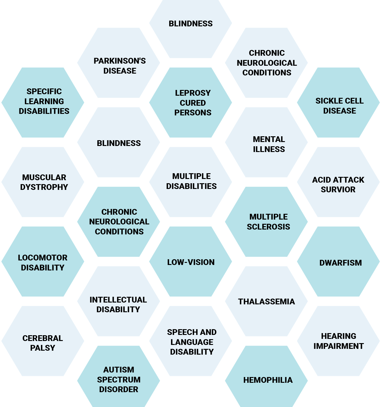 A hexagon grid displaying various disability categories such as blindness, low vision, autism, cerebral palsy, mental illness, and more.