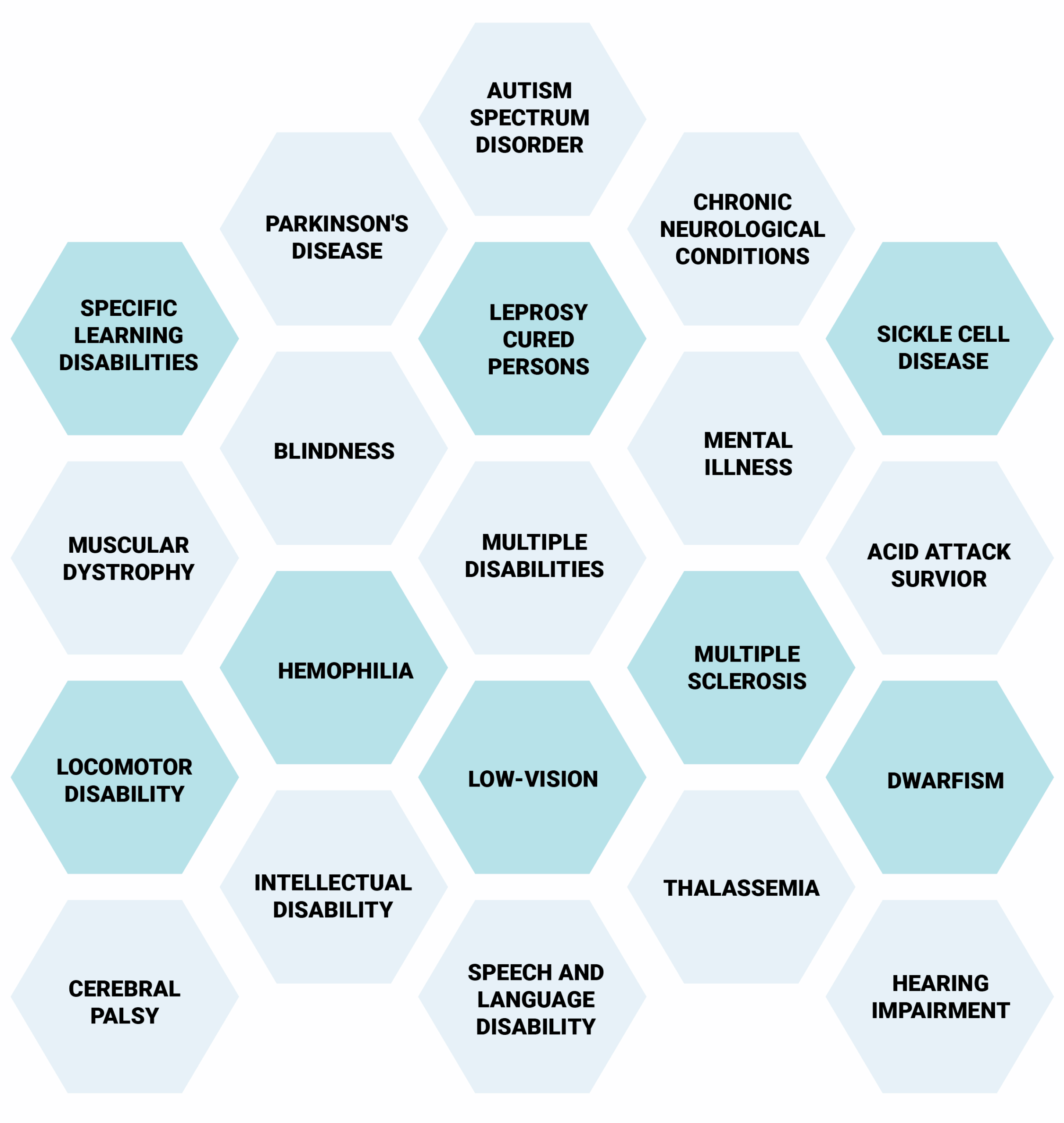 A hexagon grid displaying various disability categories such as blindness, low vision, autism, cerebral palsy, mental illness, and more.
